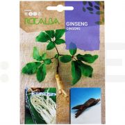 rocalba seminte ginseng 4 seminte - 1