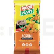 vigorplant substrat profesional citrice 20 litri - 1